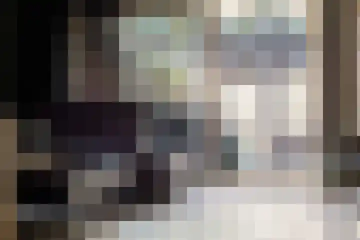 Jaltadaheerd 207 Groningen thumbnail 12