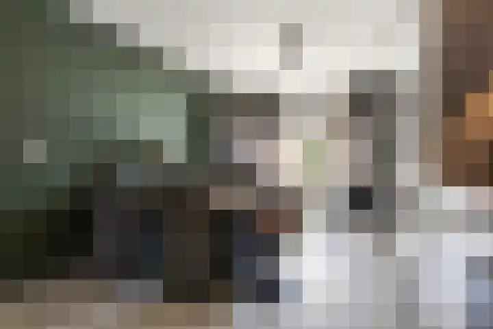 Jaltadaheerd 207 Groningen thumbnail 15