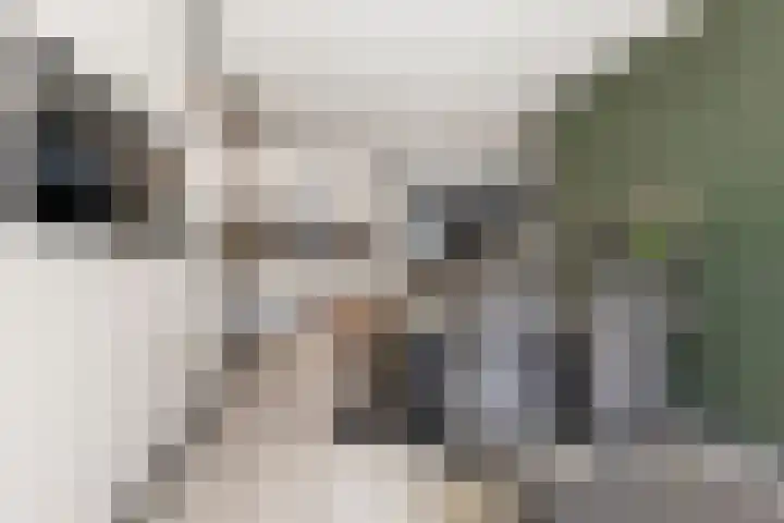 Jaltadaheerd 207 Groningen thumbnail 17