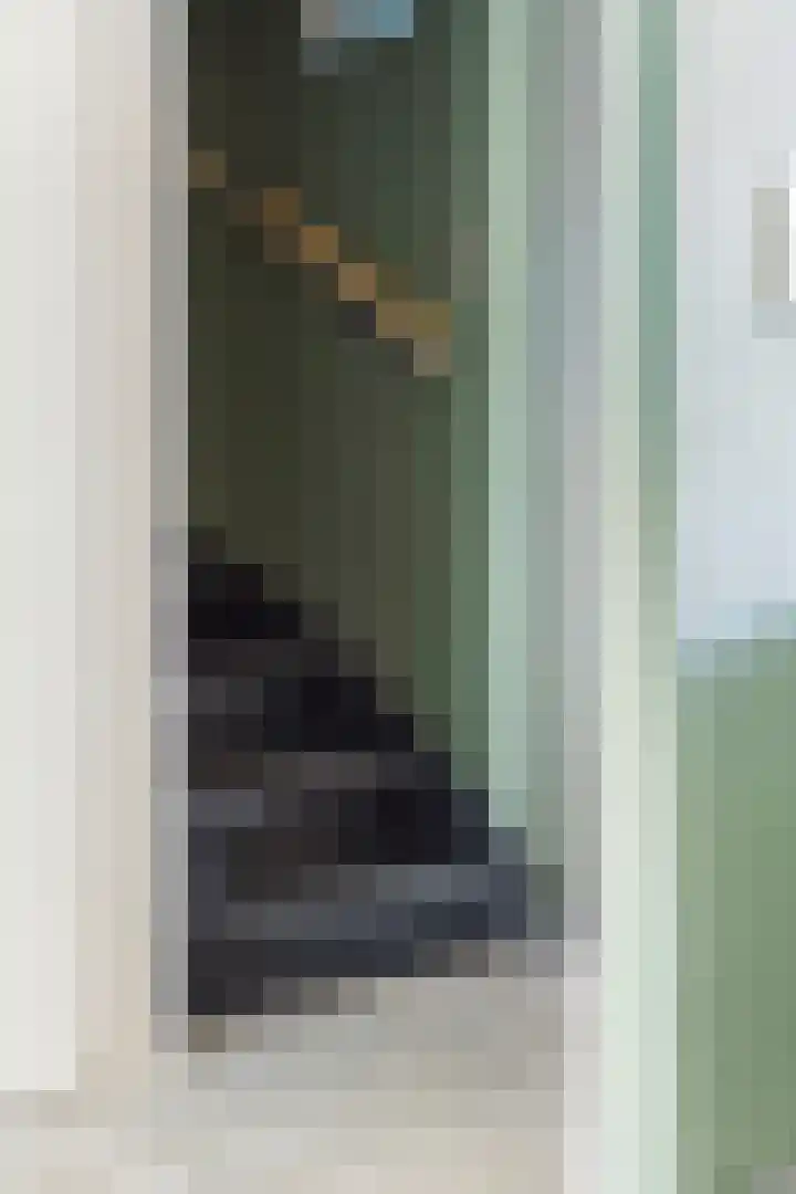 Jaltadaheerd 207 Groningen thumbnail 19