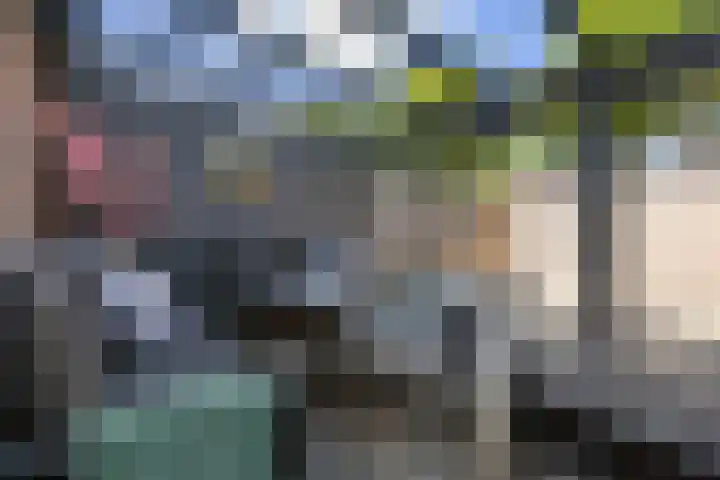 Jaltadaheerd 207 Groningen thumbnail 30