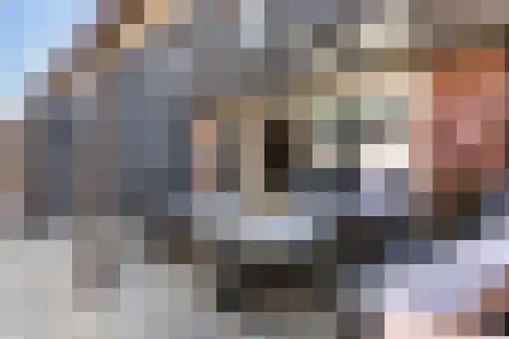 Jaltadaheerd 207 Groningen thumbnail 31