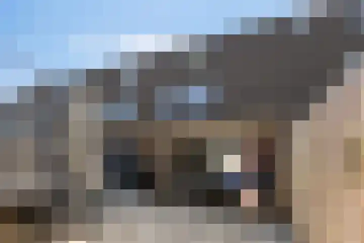 Jaltadaheerd 207 Groningen thumbnail 32