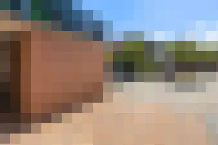 Jaltadaheerd 207 Groningen thumbnail 33