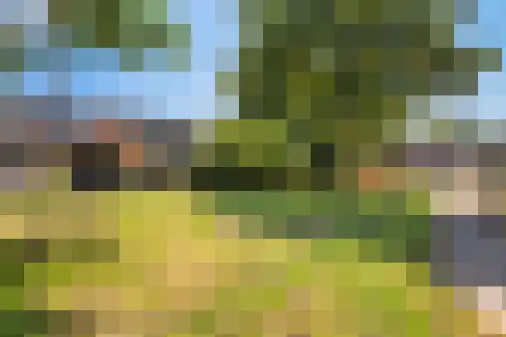 Jaltadaheerd 207 Groningen thumbnail 36