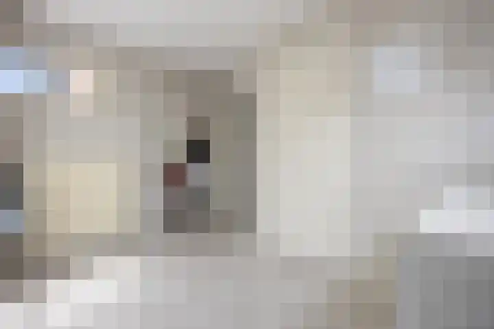 Jamaïcaring 15 Drunen thumbnail 15