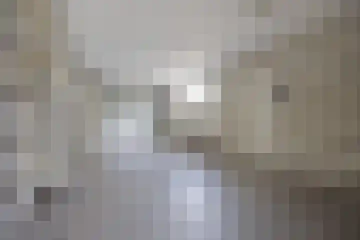 Jamaïcaring 15 Drunen thumbnail 16