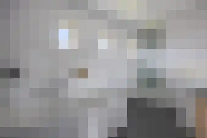 Jamaïcaring 15 Drunen thumbnail 22