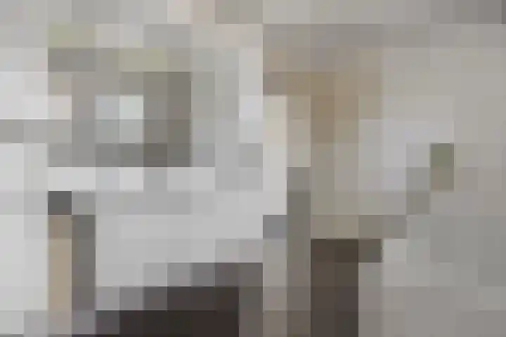 Jamaïcaring 15 Drunen thumbnail 23