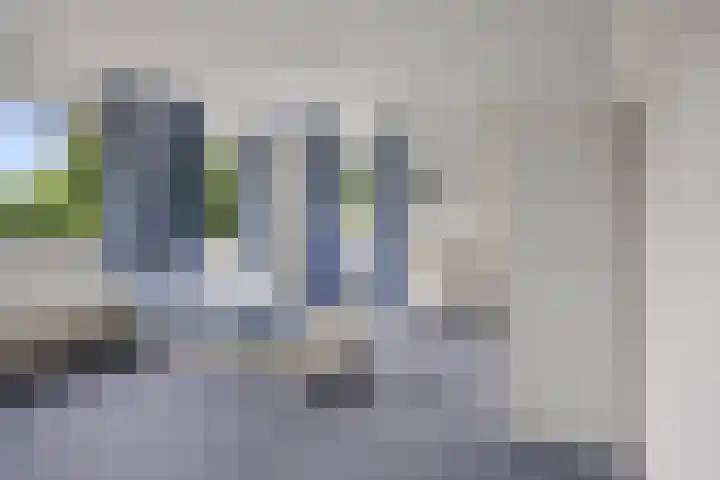 Jamaïcaring 15 Drunen thumbnail 25