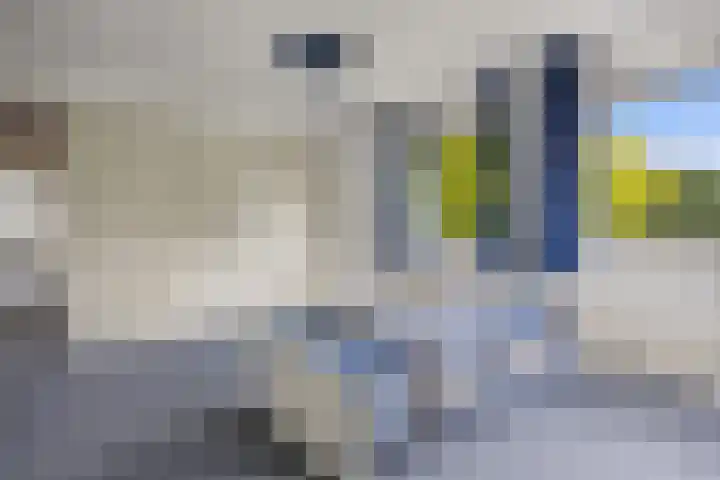 Jamaïcaring 15 Drunen thumbnail 26