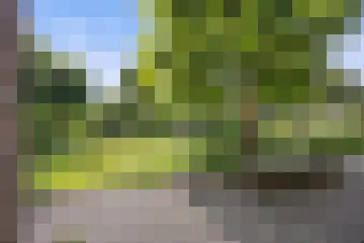 Jamaïcaring 15 Drunen thumbnail 40