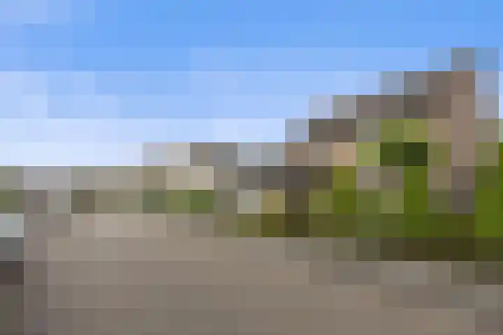 Jamaïcaring 15 Drunen thumbnail 42