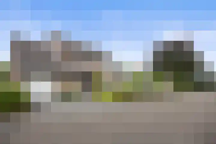 Jamaïcaring 15 Drunen thumbnail 43