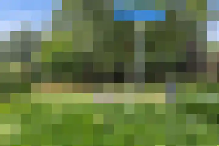 Jamaïcaring 15 Drunen thumbnail 45