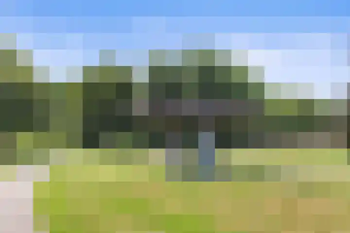 Jamaïcaring 15 Drunen thumbnail 46