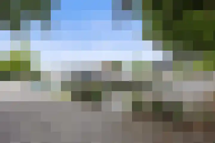 Jamaïcaring 15 Drunen thumbnail 49