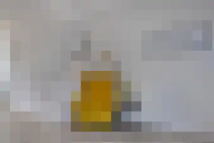 Jamaïcaring 16 Drunen thumbnail 11