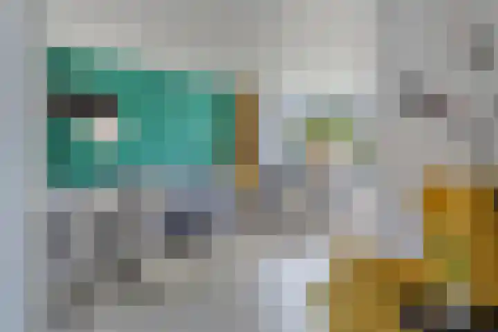 Jamaïcaring 16 Drunen thumbnail 12
