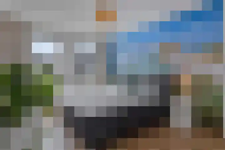 Jamaïcaring 16 Drunen thumbnail 22