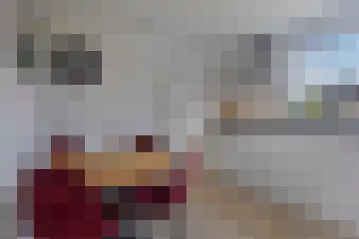 Jamaïcaring 16 Drunen thumbnail 4