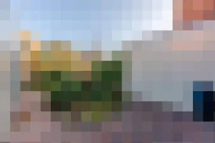 Jamaicastraat 25 Almere thumbnail 47
