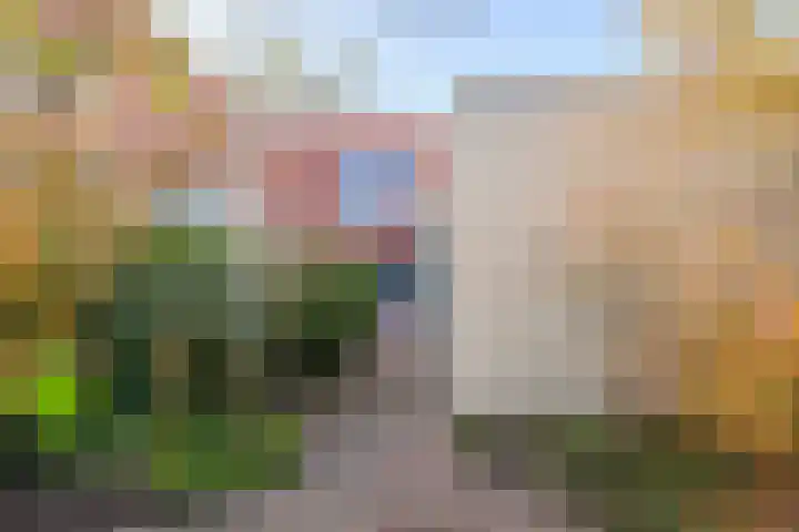 Jamaicastraat 25 Almere thumbnail 51