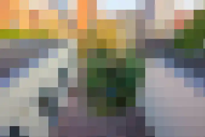Jamaicastraat 25 Almere thumbnail 52