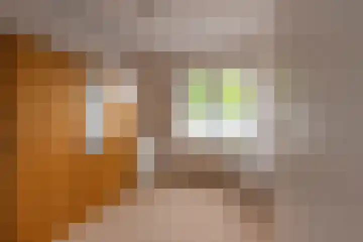 Jamarstraat 9 Simpelveld thumbnail 17