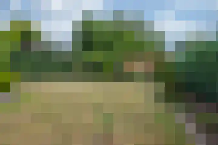 Jamarstraat 9 Simpelveld thumbnail 23