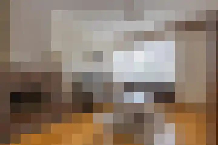 Jamarstraat 9 Simpelveld foto 3