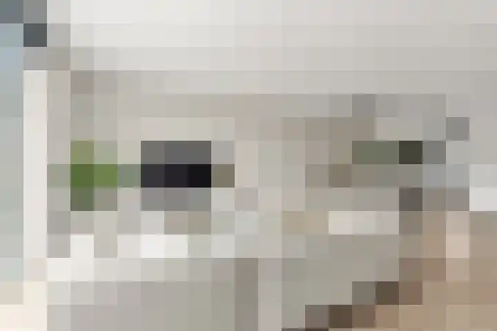 James Chadwickstraat 24 Almere thumbnail 13