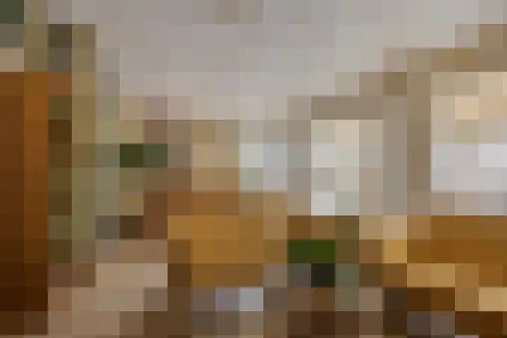 James Ensorlaan 1 Helmond thumbnail 21