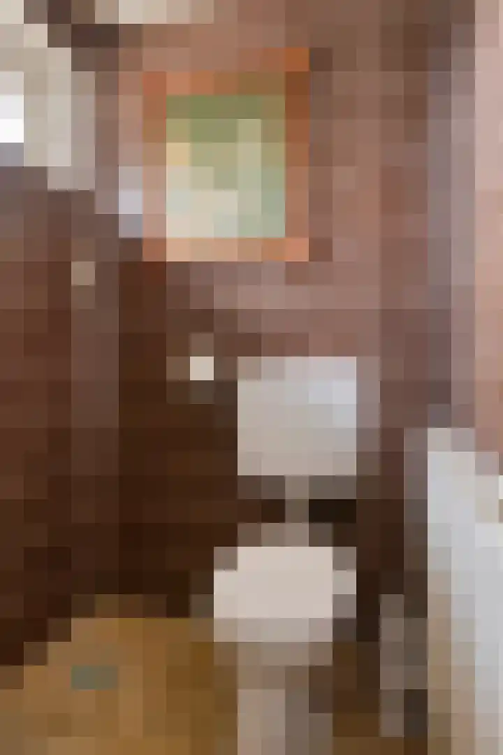 James Ensorlaan 1 Helmond thumbnail 35