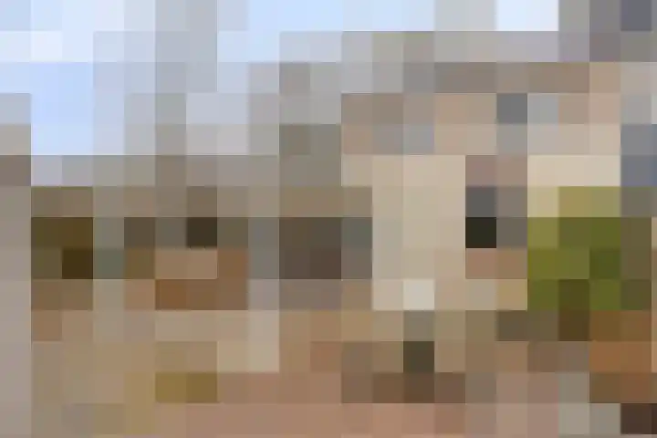 James Ensorlaan 1 Helmond thumbnail 45