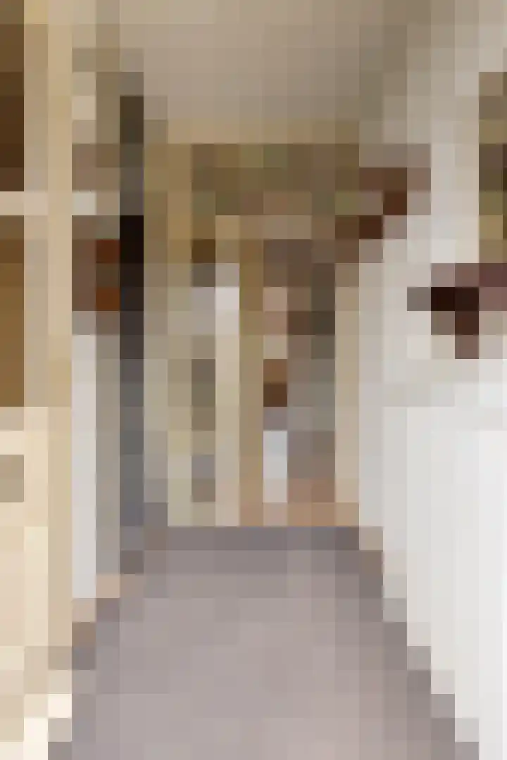 James Ensorlaan 1 Helmond thumbnail 7