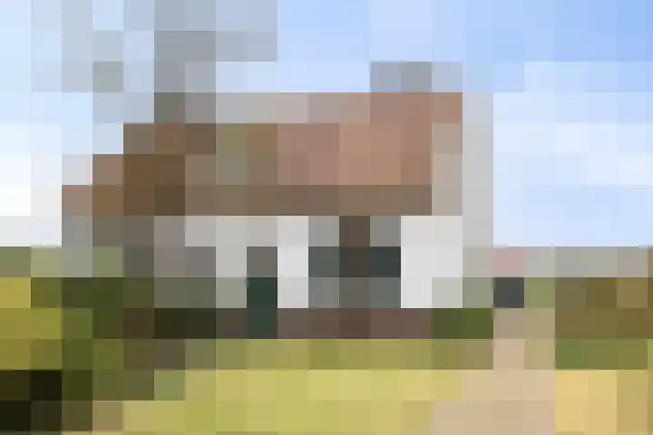 Jan Berendweg 7 De Rips