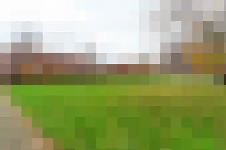 Jan Campertstraat 71 Almere thumbnail 25