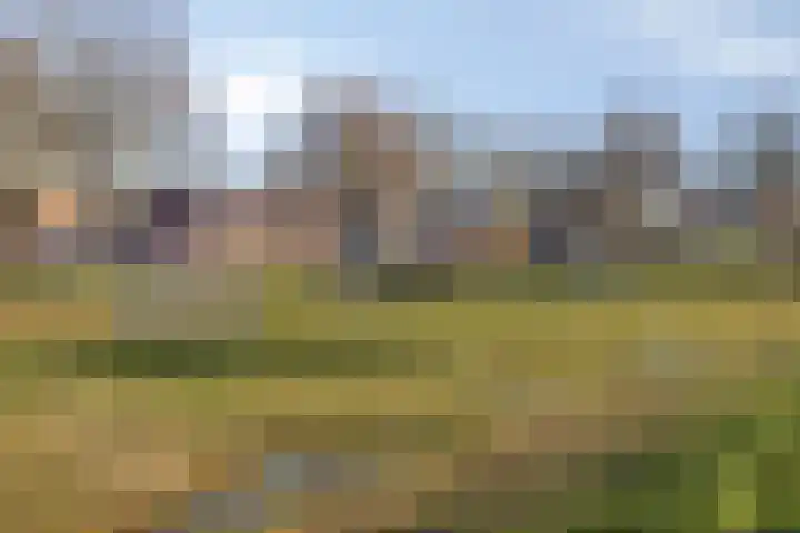 Jan de Oudestraat 2 Weert thumbnail 34