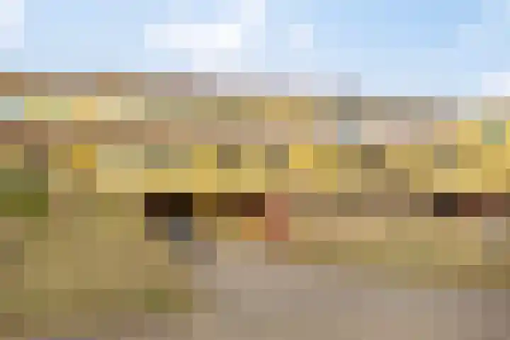 Jan Dirk z'n Dal 65 dans Egmond aan Zee