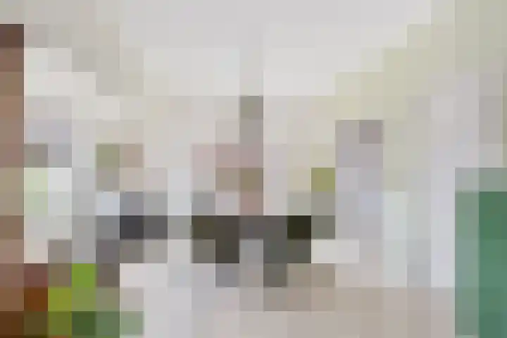 Jan Dirksstraat 4 Franeker thumbnail 19
