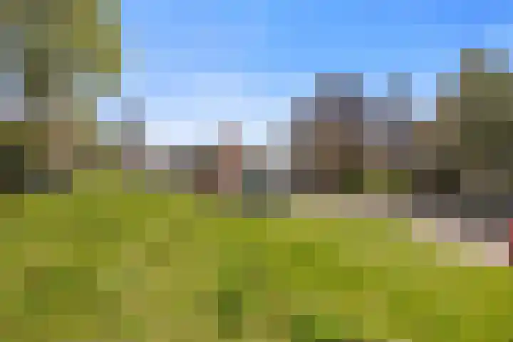 Jan Dirksstraat 4 Franeker thumbnail 35