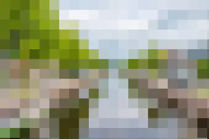 Jan Eisengastrjitte 58 Gorredijk thumbnail 19