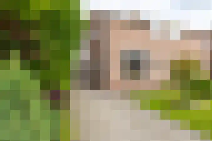 Jan Eisengastrjitte 58 Gorredijk thumbnail 43