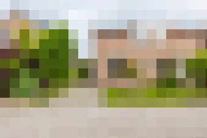 Jan Eisengastrjitte 58 Gorredijk thumbnail 8