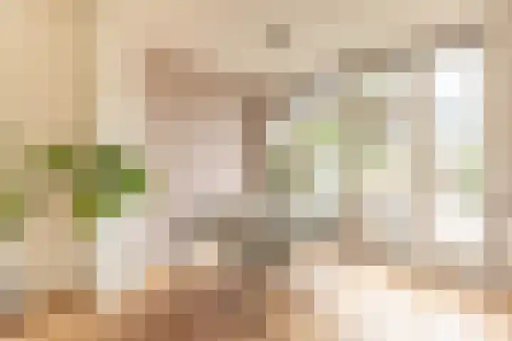 Jan Ekelsplein 7 Alkmaar thumbnail 10