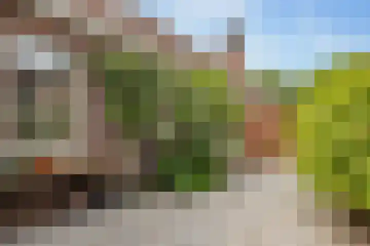 Jan Haarstraat 36 Kerkenveld thumbnail 62