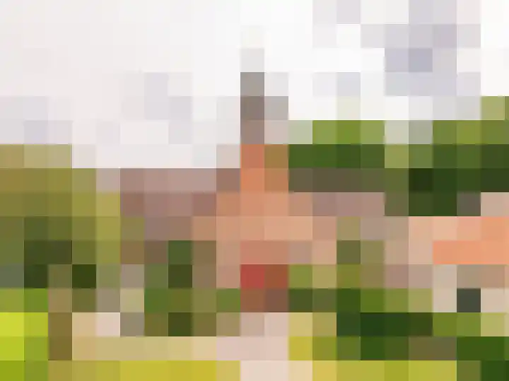 Jan Haarstraat 36 Kerkenveld thumbnail 79