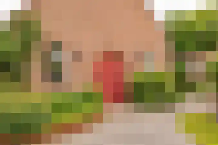 Jan Haarstraat 36 Kerkenveld thumbnail 8