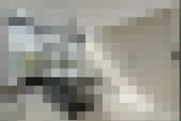 Jan Hanlostraat 3 Almere thumbnail 33